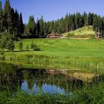 Plumas Pines Golfing