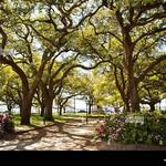 White Point Garden