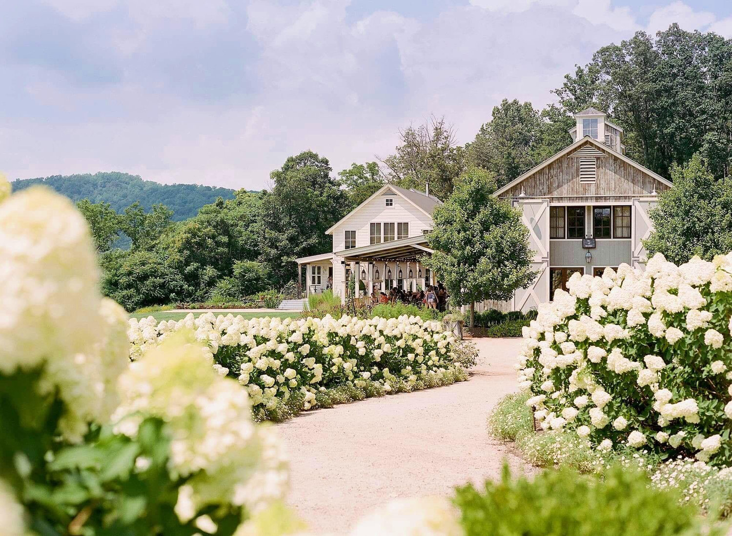 The Wedding Website of Marin Lebowitz and Sam Blakeway-Webb