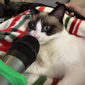 Latte's Vocal Lessons