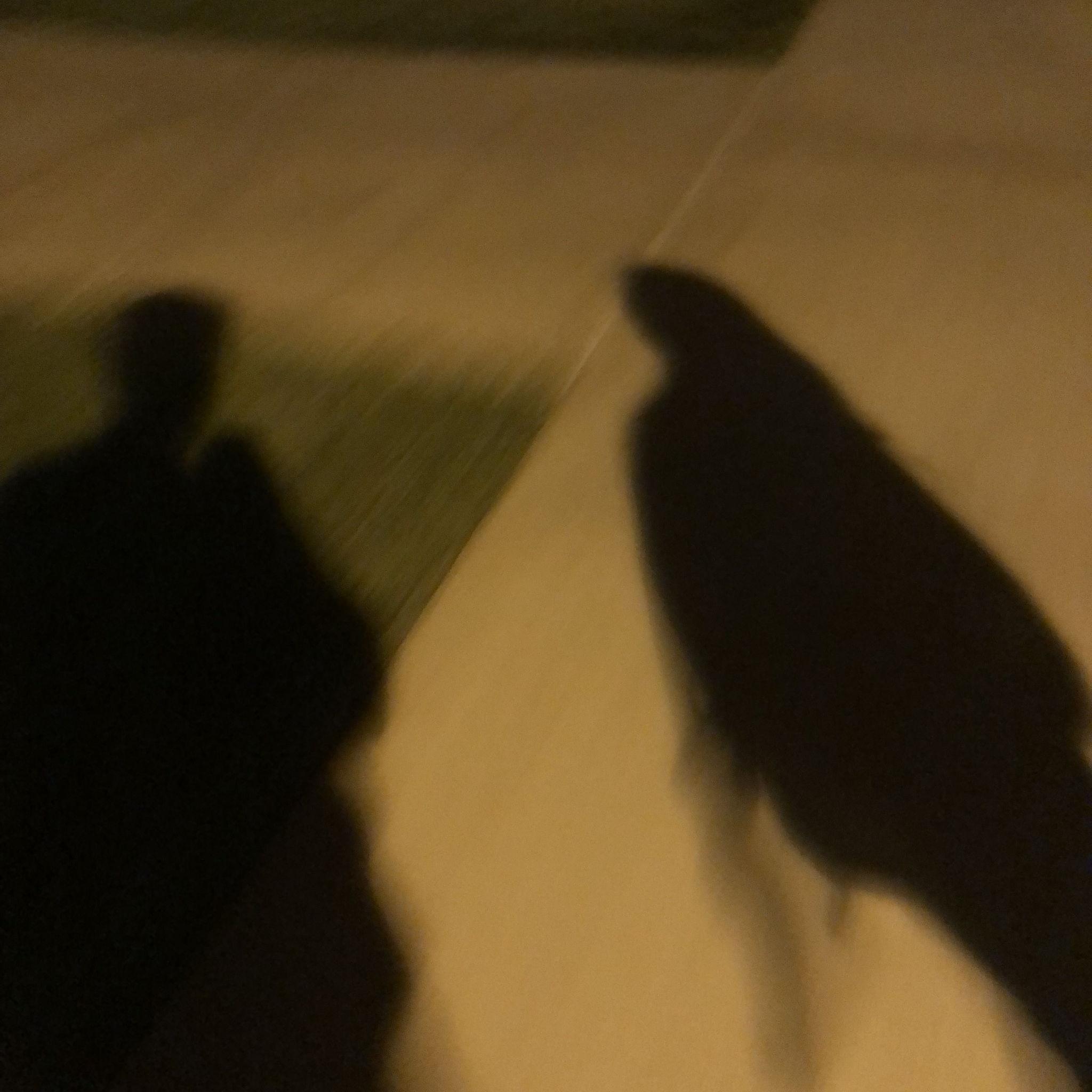 The first ever photographic evidence... the rest of the photos are out of order