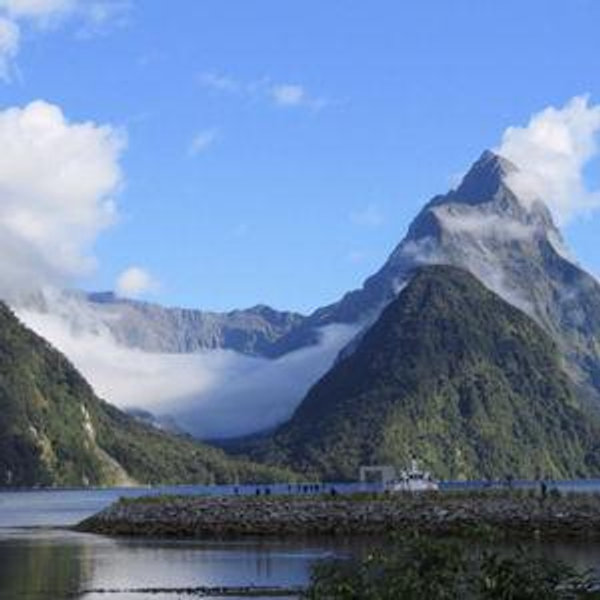 Full Day Trip to the Milford Sound