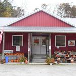 Fuhrmann Orchards, LLC - Apple, Peach, Pumpkin, Flower & Vegetable Farm