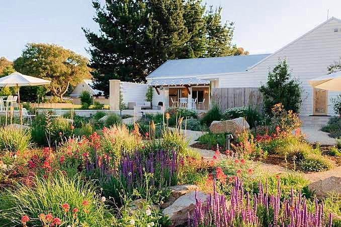 The Wedding Website of Rebecca Terriaca and Jordaan Ludwig