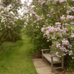 Rutgers Botanical Gardens