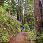 Buzzards Roost Trail