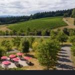 Lemelson Vineyards