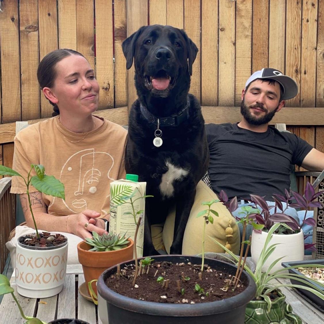 Backyard family dinner.