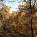 eXplore Brown County at Valley Branch Retreat