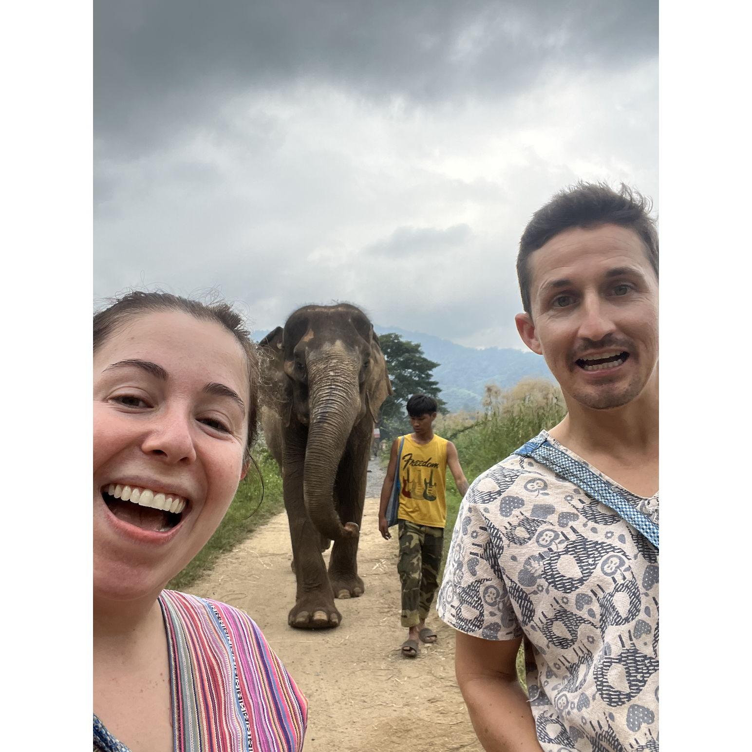 Only one of us was a fan of hanging with elephants in Thailand... -M