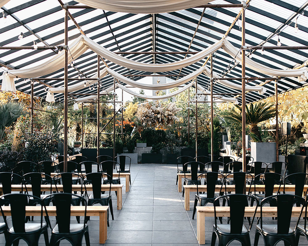 The Wedding Website of Rachelle Haines and Jeb Z Hollabaugh