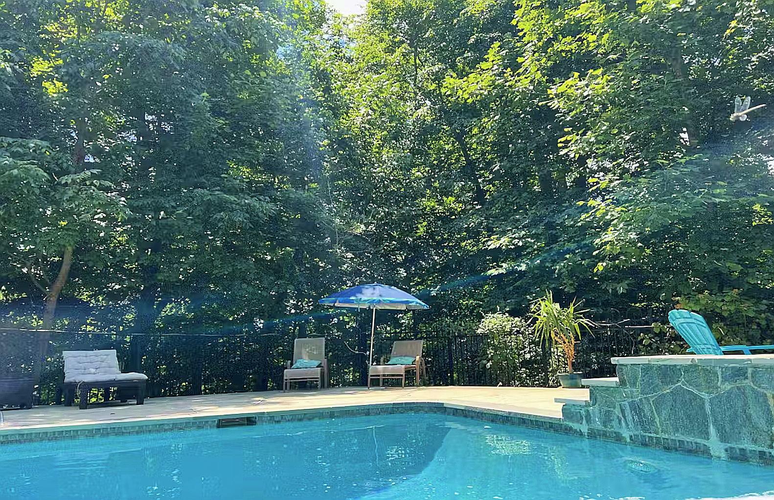 The Wedding Website of Charles Timberlake and His Adoption