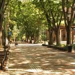 University of Pennsylvania