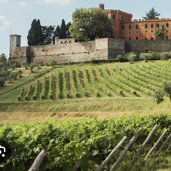 Chianti and Castles Tour (Wine Tasting)