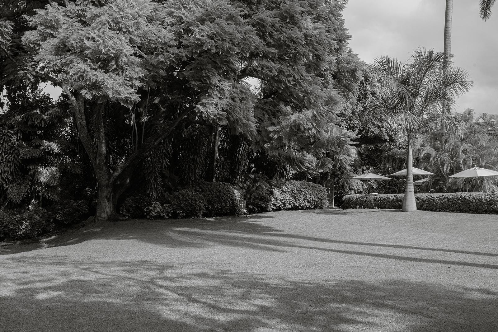 The Wedding Website of Perla Rodríguez Torres and Abdullah Alomari