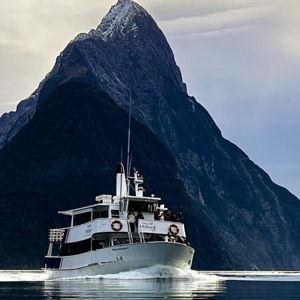 Honeymoon Fund: Milford Sound Tour & Cruise