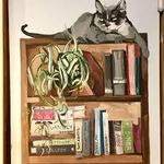 Downtown Books & News