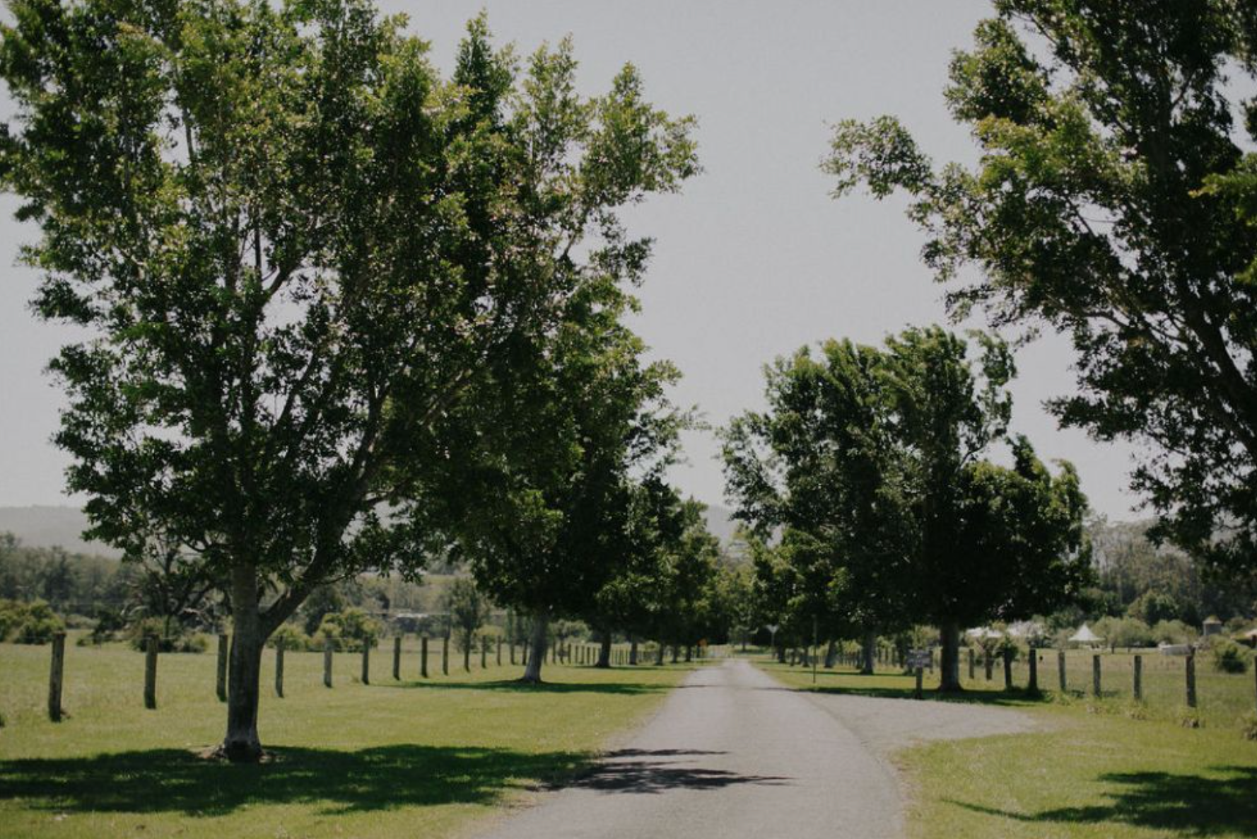 The Wedding Website of Cassandra Bonner and Jake Carpenter