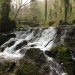 Dún a Rí Forest Park
