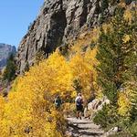 Glacier Gorge Trail (Moderate Hike)
