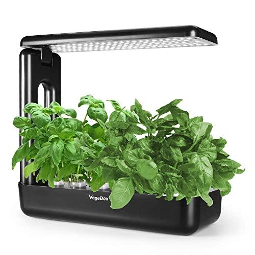 Hydroponics Growing System,Grow Smart for Plant, Built Your Indoor Garden(Large-Black)