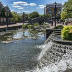 Carroll Creek Park