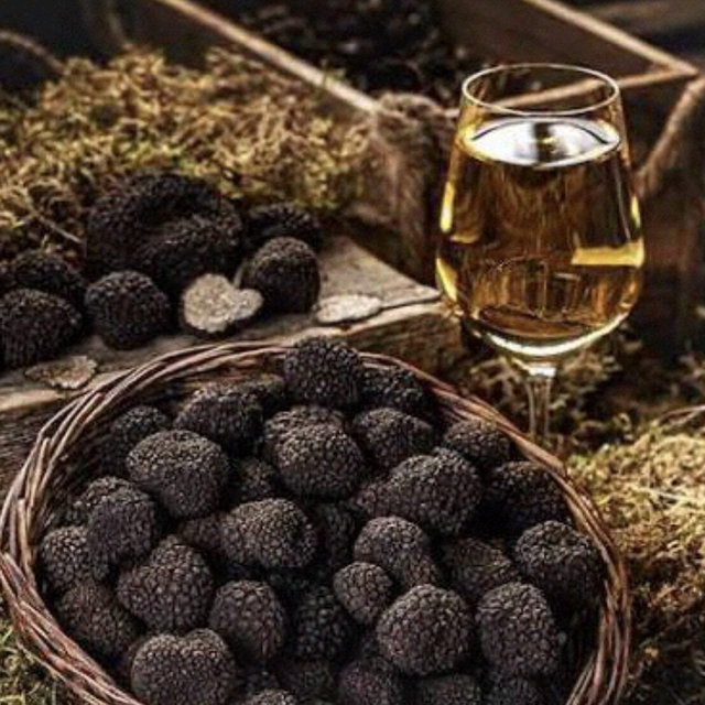 Truffle Hunt