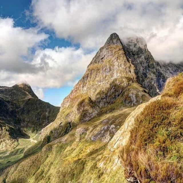 Milford Track Guided Walk (2 People)