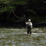 Catskill Flies