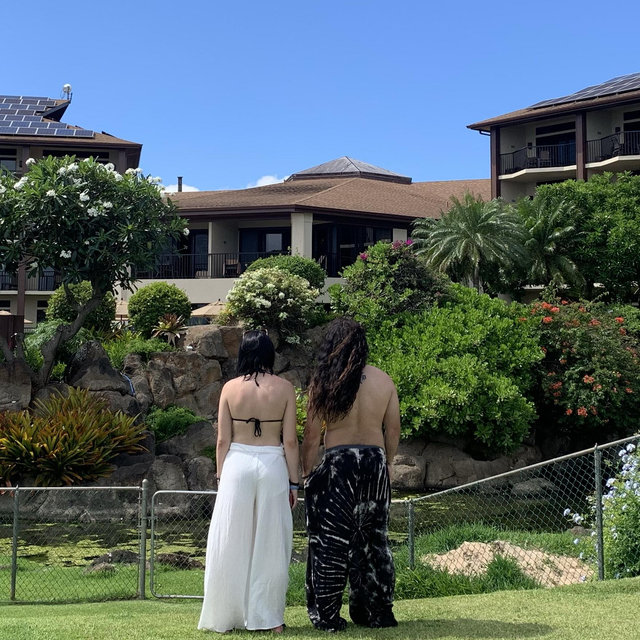 Our Honeymoon Fund