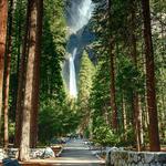 Lower Yosemite Falls