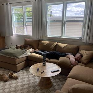furniture fund contribution