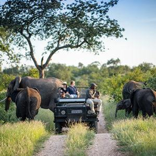 South African Honeymoon
