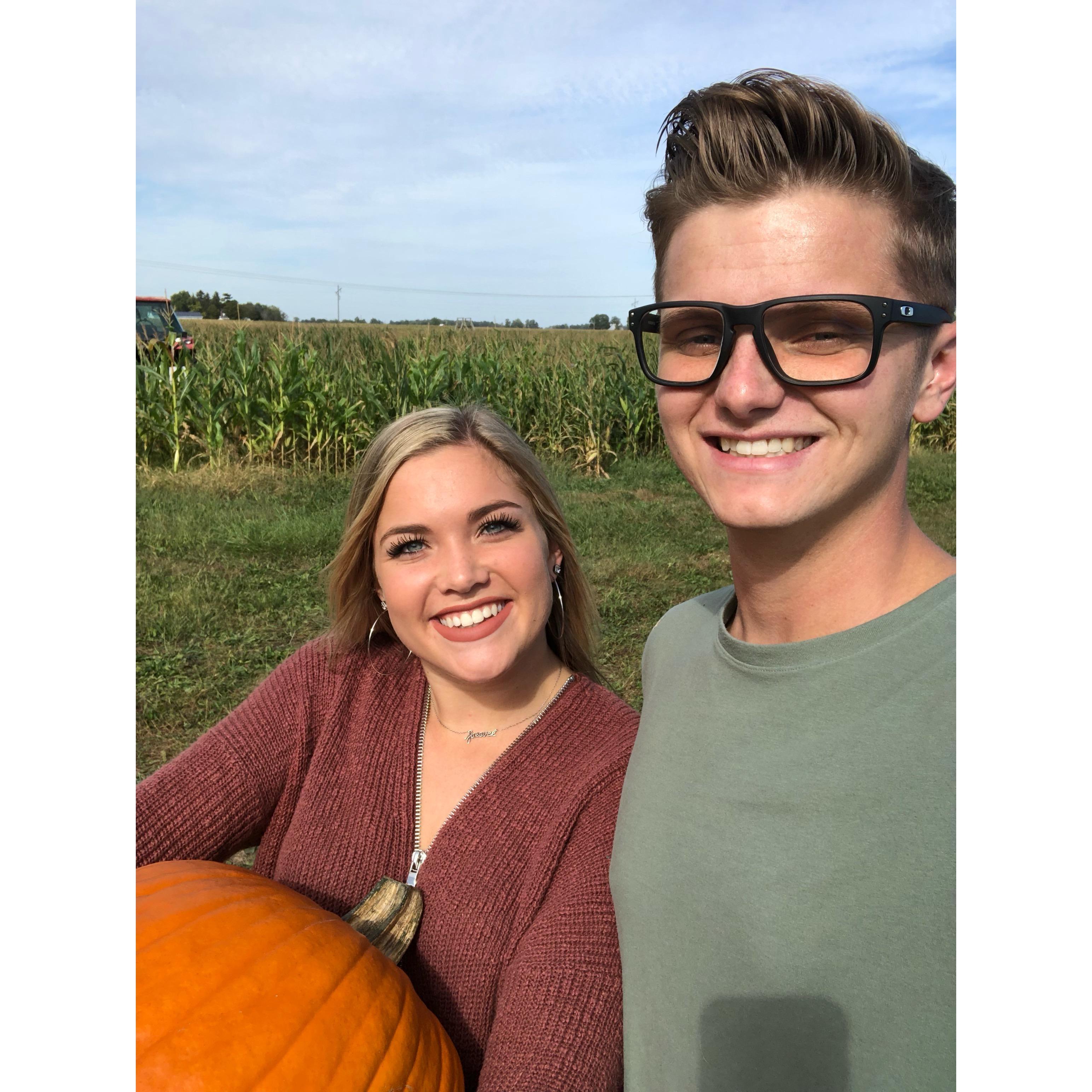 Pumpkin and apple picking at Stuckey Farms