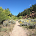 Chamisa Trail