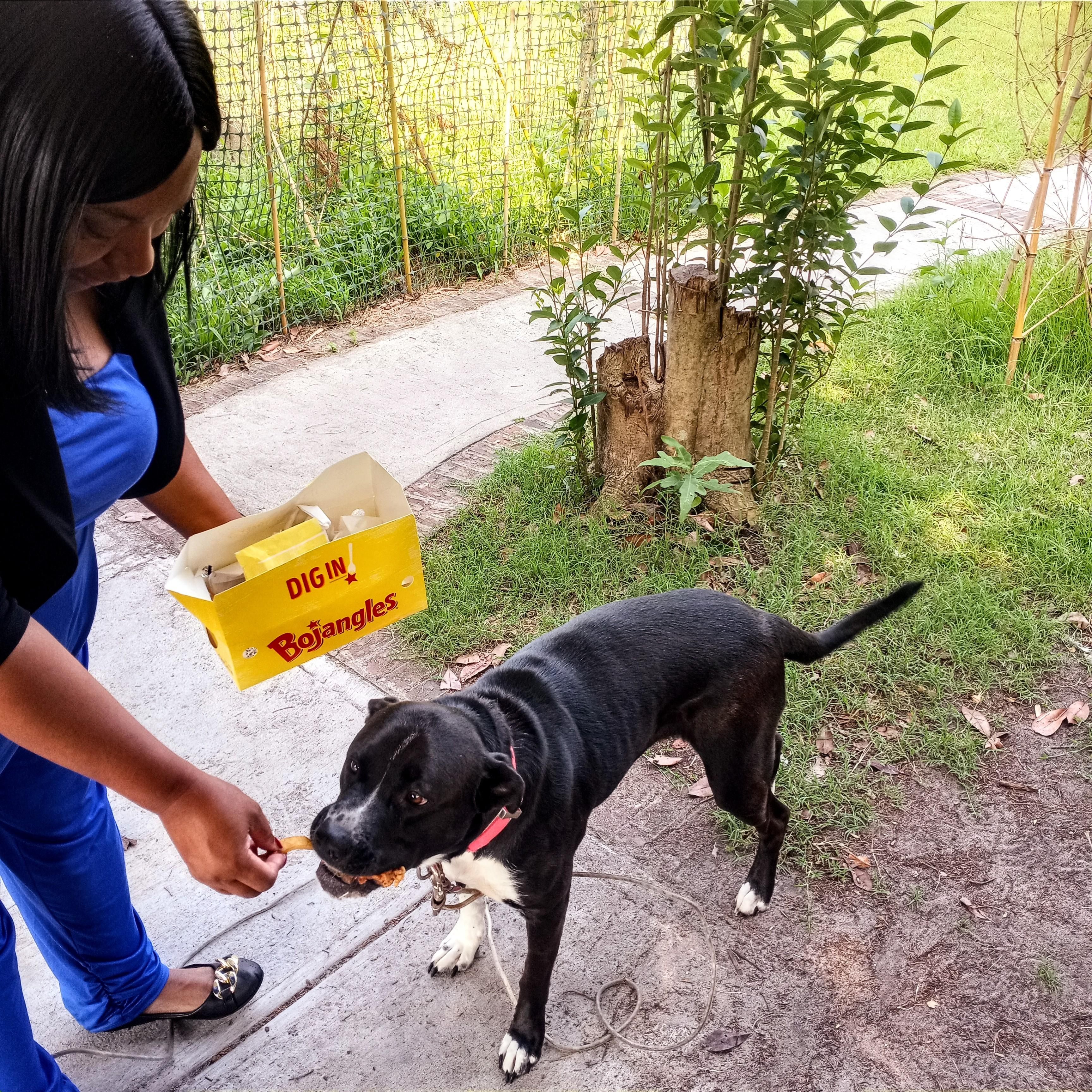 Bella know she would get chicken bones