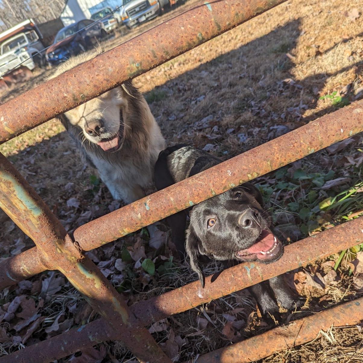 The kids