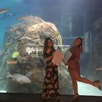 Adventure Aquarium
