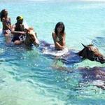 Beach Horseback Ride N Swim