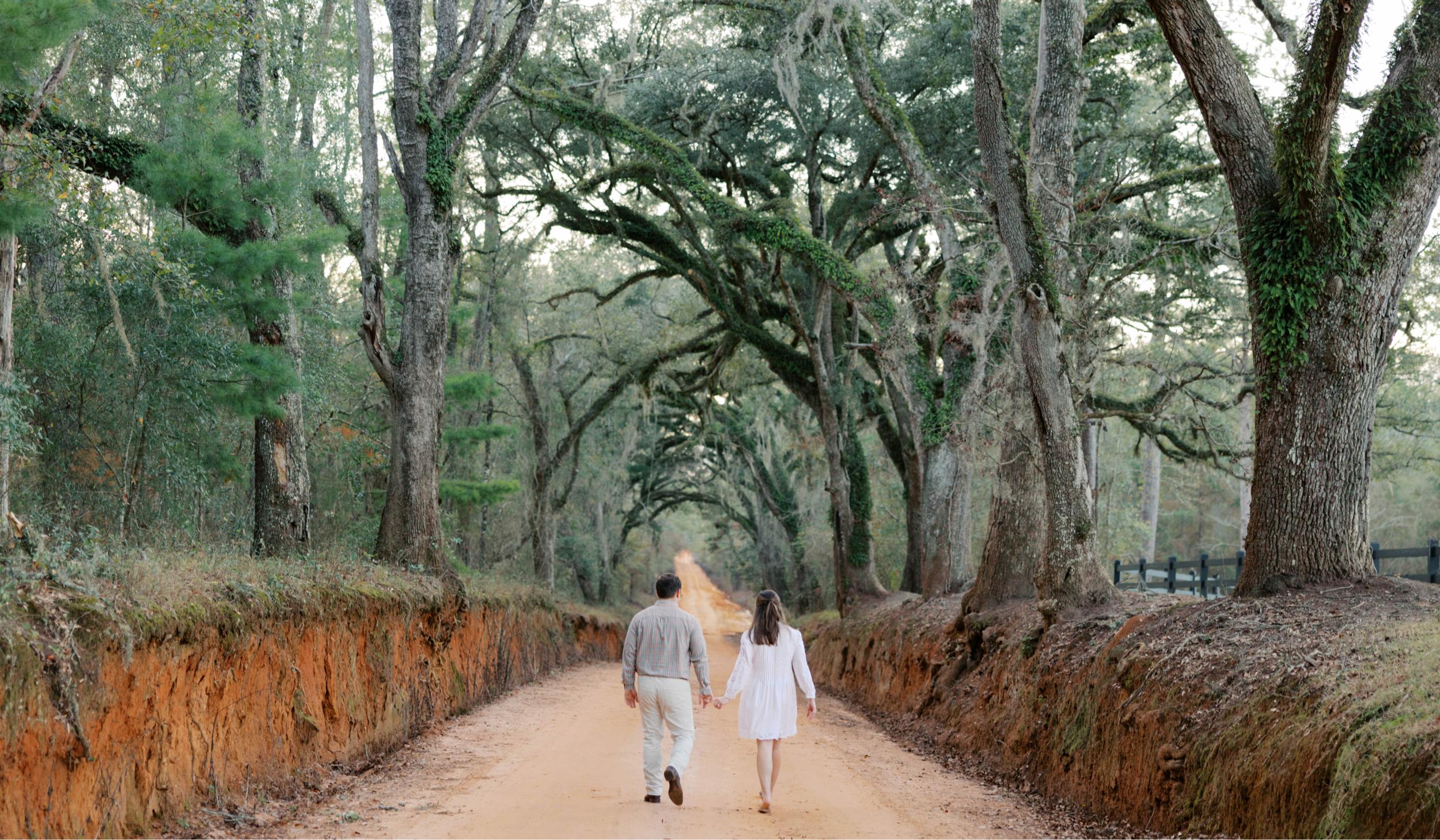 Hero Slideshow Image 0