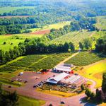 North Star Orchards