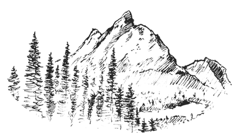 The Wedding Website of Jas Baziuk and Simon Makhuli