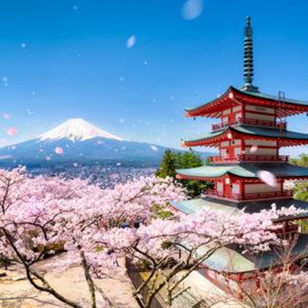 Round Trip Plane Tickets to Japan!