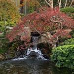 Norfolk Botanical Garden
