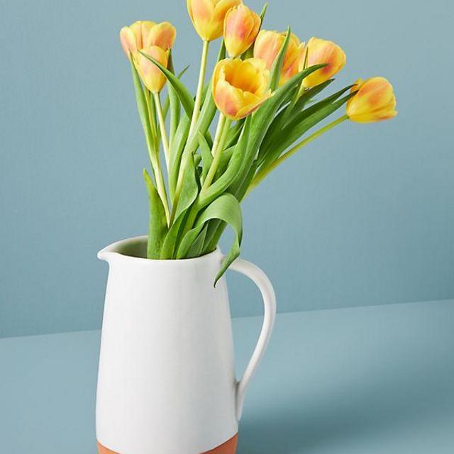 Colori Pitcher