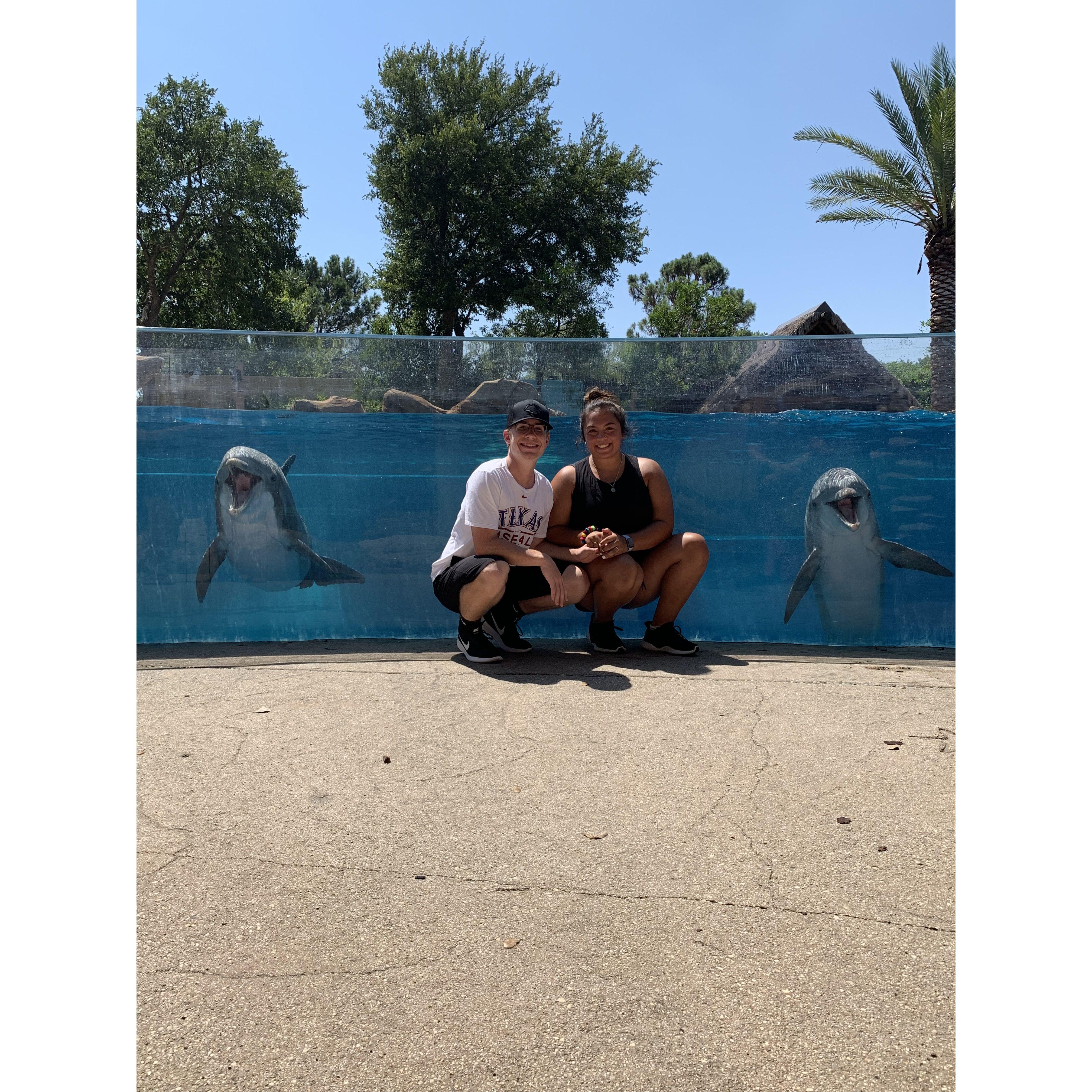 Our first solo trip together in 2019 to SeaWorld