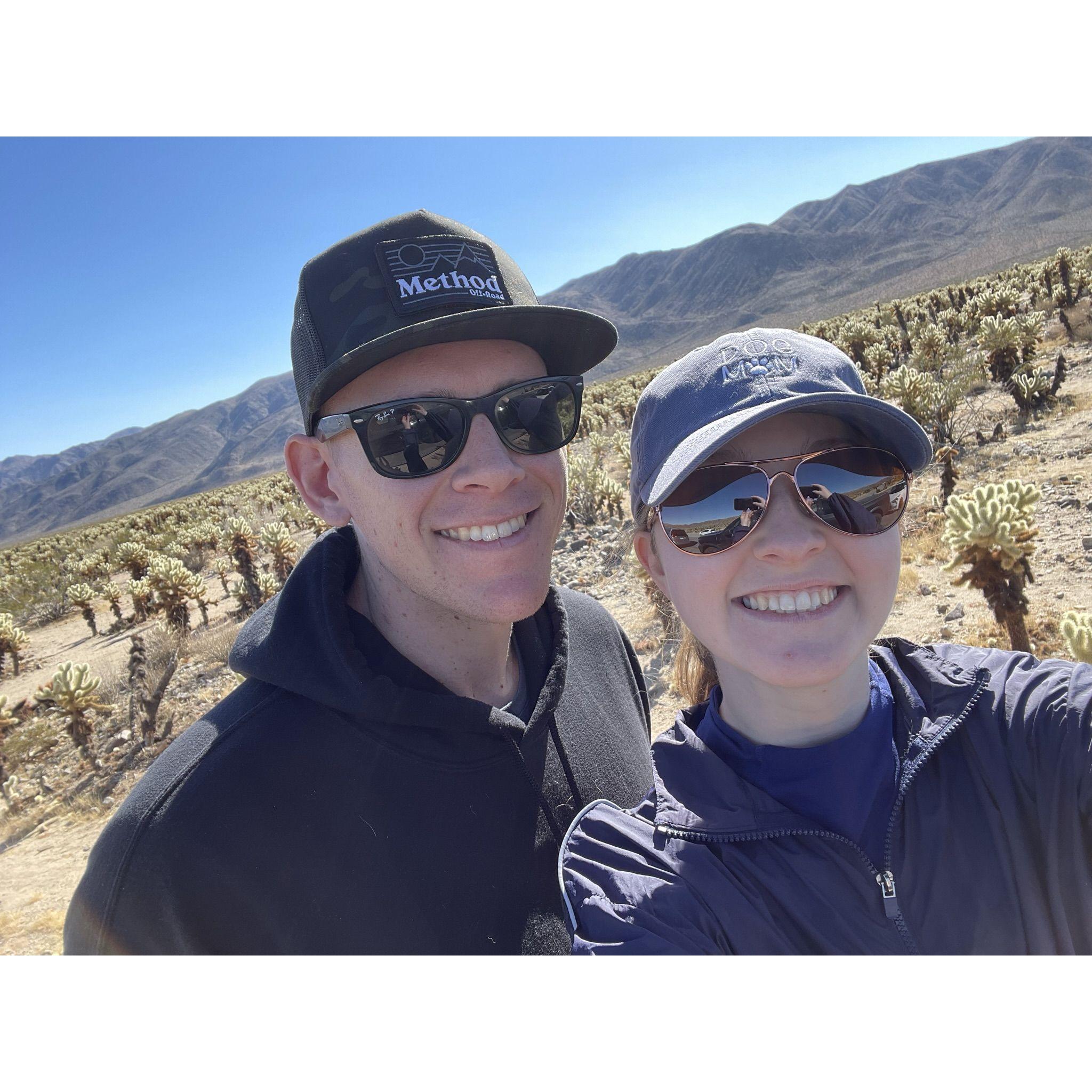 Checking out the cactus garden in Joshua Tree.