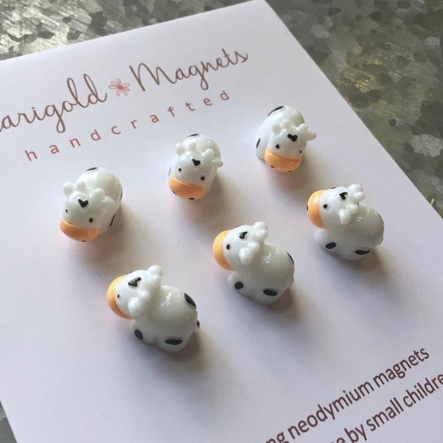 fridge magnets