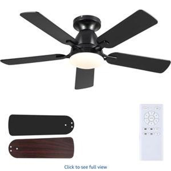 Ceiling Fan