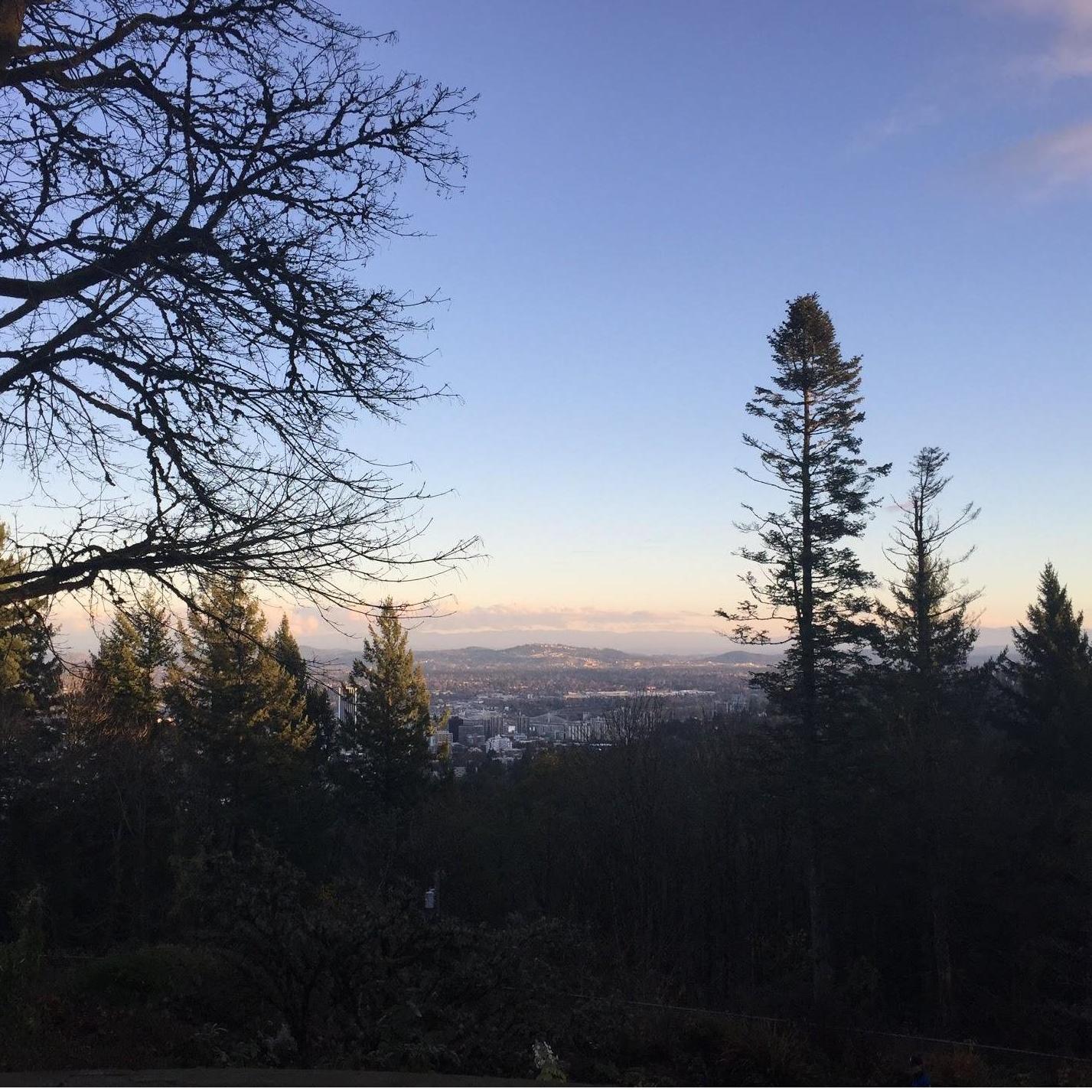Portland Thanksgiving 2017